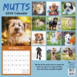 TF Publishing 2024 Wall Calendar 12"x12" Mutts -Office Supplies Store GUEST f944bfa2 3d0c 4953 b689 54e576e4fe1e
