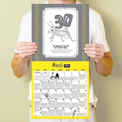 TF Publishing 2024 Wall Calendar 12"x12" Insane But True 3 TF Publishing 2024 Wall Calendar 12"x12" Insane But True - Image 3