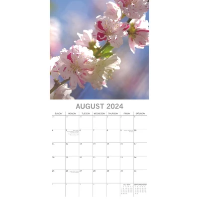 The Gifted Stationery 2024 Square Wall Calendar, Blossoms, 16-Month Floral Theme With 180 Reminder Stickers (12x12 In) 2 The Gifted Stationery 2024 Square Wall Calendar, Blossoms, 16-Month Floral Theme With 180 Reminder Stickers (12x12 In) - Image 2